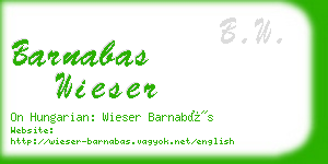 barnabas wieser business card